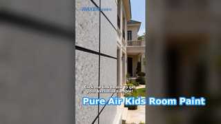 Marble Sand Water Based Exterior Paint 